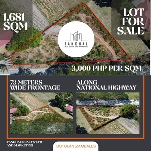 Lot For Sale In Tampo, Botolan