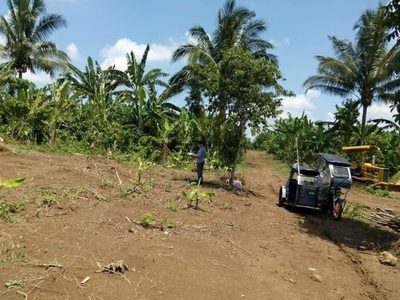selling farm lot in Amadeo Cavite