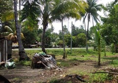28,062 sqm residential land lot for sale in dapitan city