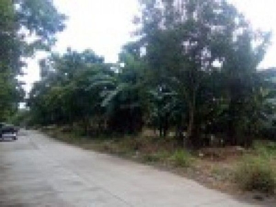 COMMERCIAL LOT FOR LEASE 3,147SQM
