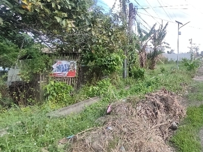 Lot For Sale In Aganan, Pavia