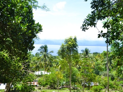 Lot For Sale In Aundanao, Island Of Garden Samal, Samal