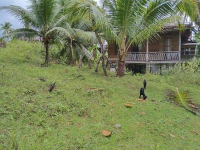 Lot For Sale In Concepcion, Loay
