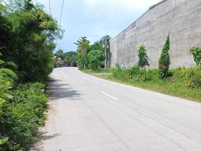 Lot For Sale In Mahayag, Davao