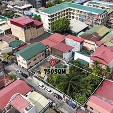 Lot For Sale In F.b Harisson, Pasay