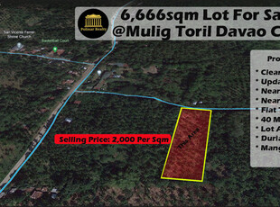 Lot For Sale In Mulig, Davao