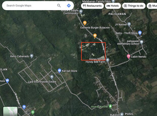 Lot For Sale In San Jose, Lipa