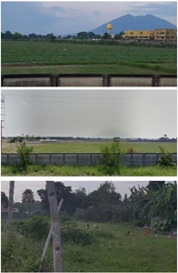 For Sale: Agricultural Lots Along NLEX, Angeles, Pamgpanga