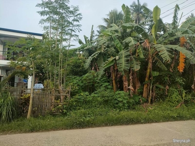 1, 328 sqm Lot 4sale in Boac Marinduque ideal for TELCO Tower, et