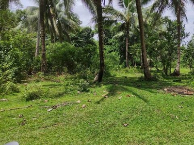 Lot For Sale In Hinapolan, Alangalang