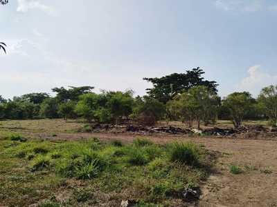 Lot For Sale In Maugat East, Padre Garcia