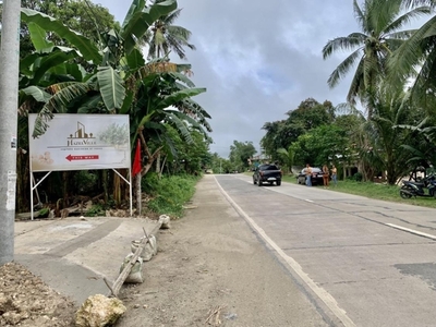 Lot For Sale In Sab-a, San Remigio