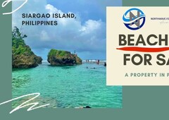 SIARGAO ISLAND - BEACH LOT FOR SALE!