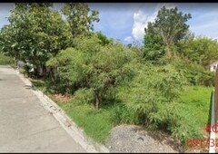 TOWN AND COUNTRY HEIGHTS ANTIPOLO LOT FOR SALE