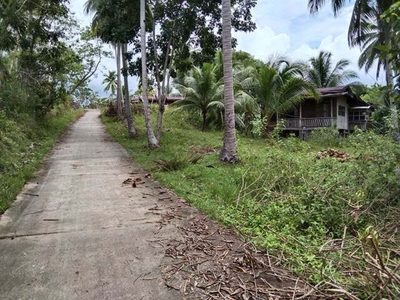 Lot For Sale In Concepcion, Loay