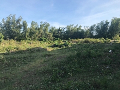 Lot For Sale In Sulodpan, Bacong