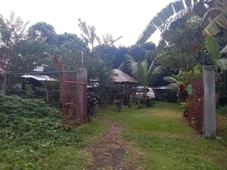Residential lot with backyard piggery and lots of fruit trees