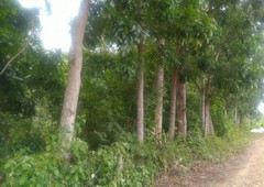 10 hectares lot property