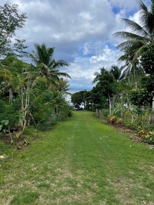 Lot For Sale In Balite, Virac