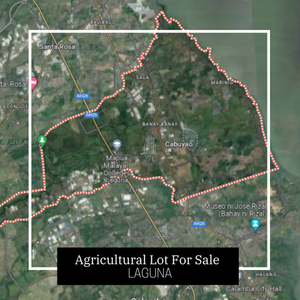 Lot For Sale In Cabuyao, Laguna