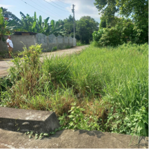 Lot For Sale In Cadawinonan, Dumaguete