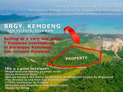 Lot For Sale In Kemdeng, San Vicente