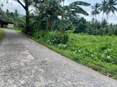 Lot For Sale In Valencia, Negros Oriental