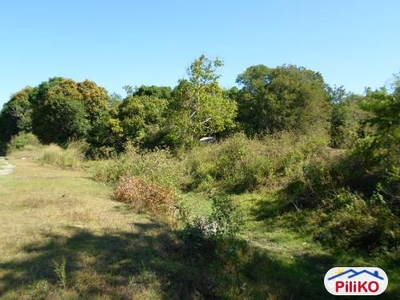 Agricultural Lot for sale in Botolan
