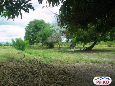 Agricultural Lot for sale in San Antonio