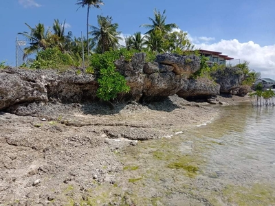 Beach Lot in Moalboal