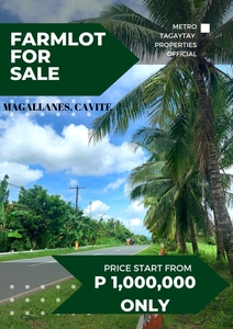 Farmlot For Sale in Magallanes Cavite near East West Road