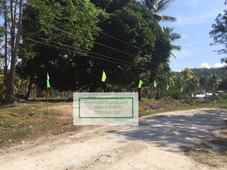 Affordable Lots in Samal, Davao del Norte for SALE