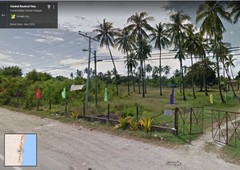 1.4 hectare compostela cebu commericial lot for sale