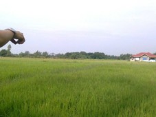 2.5 HECTARES AGRICULTURAL LAND FOR SALE IN BOTOLAN, ZAMBALES