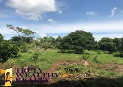 8.5 Hectares in Manolo Fortich, Bukidnon For Sale