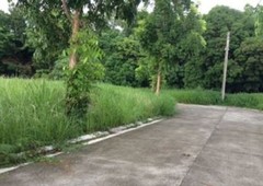 Brgy. Palapala , San Ildefonso, Bulacan lot for sale 2.1hectares lot for sale bulacan