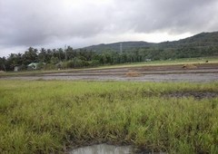 Farm Land Ibajay, Aklan