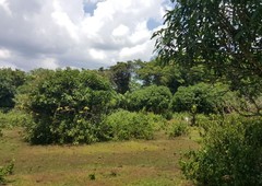 Farm lot in Batangas