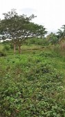 Farm Lot in Tanauan Batangas Overlooking Taal Lake