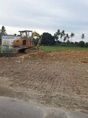 Land for sale in Guinacot, Cebu