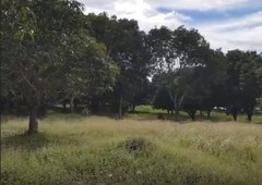 Land for sale in San Vicente, Bulacan