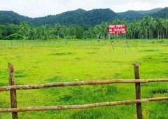 Land for sale in San Vicente, Palawan