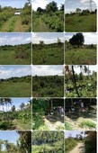 Land for sale in Sogod, Cebu