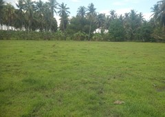 Prime Land Ideal for Warehouse or Any Industrial Plant