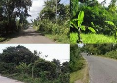 Residential Lot For Sale in Oroquieta City 1,399 SQM