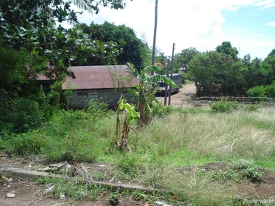 113 Sqm Residential Land/lot Sale In Mariveles