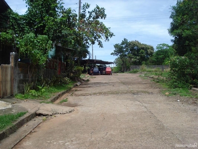 127 Sqm Residential Land/lot Sale In Mariveles