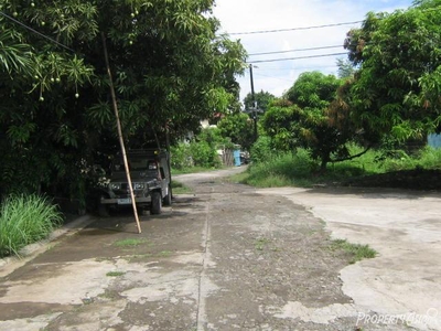 180 Sqm House And Lot Sale In San Pedro