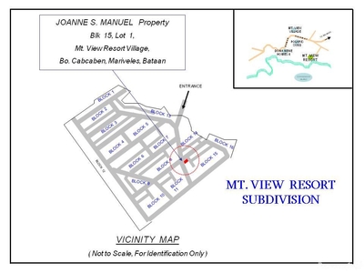 81 Sqm Residential Land/lot Sale In Mariveles