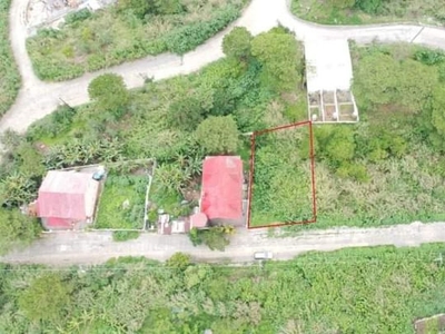 For sale Residential Lot with overlooking view , Asin Road, Baguio